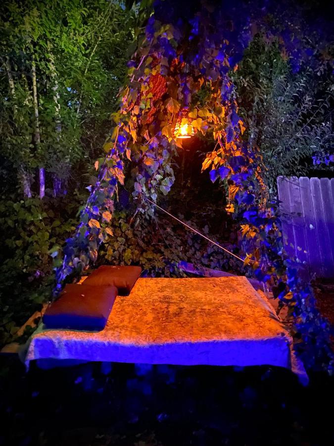 My Big Art Project Bed and Breakfast Santa Rosa Buitenkant foto